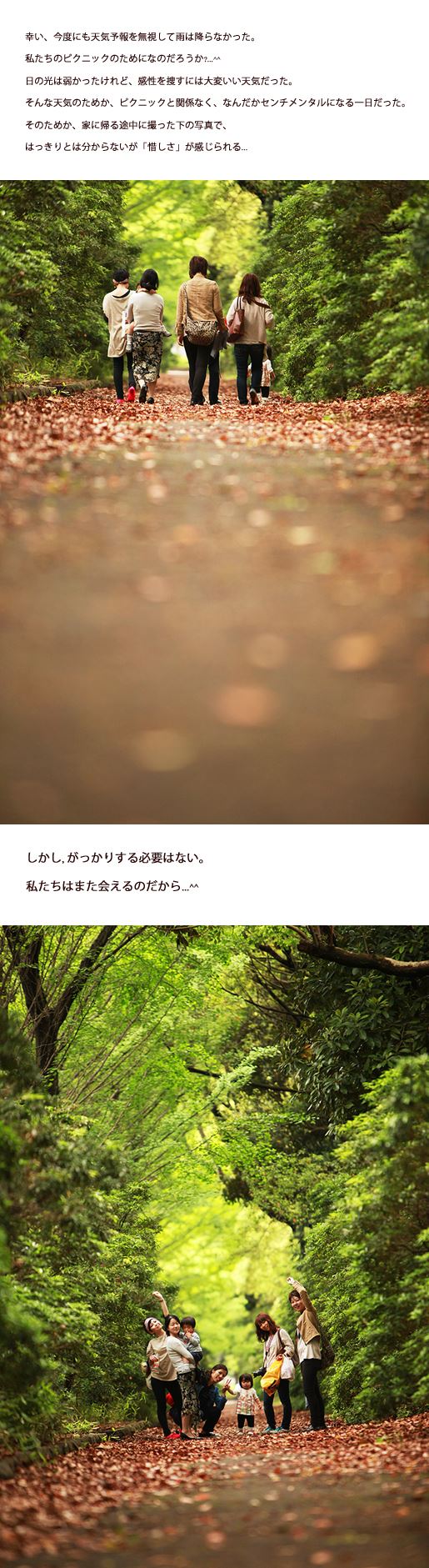 ブログ写真