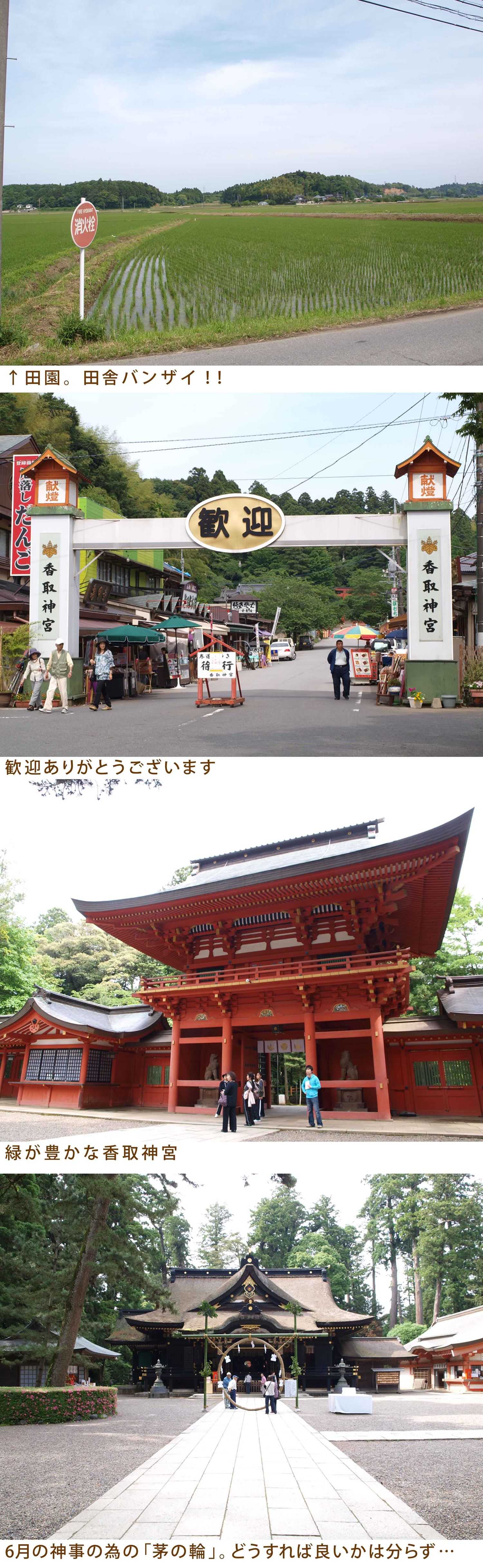 ブログ写真