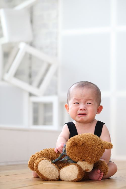 ブログ写真