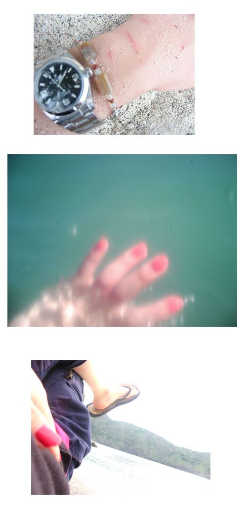 ブログ写真