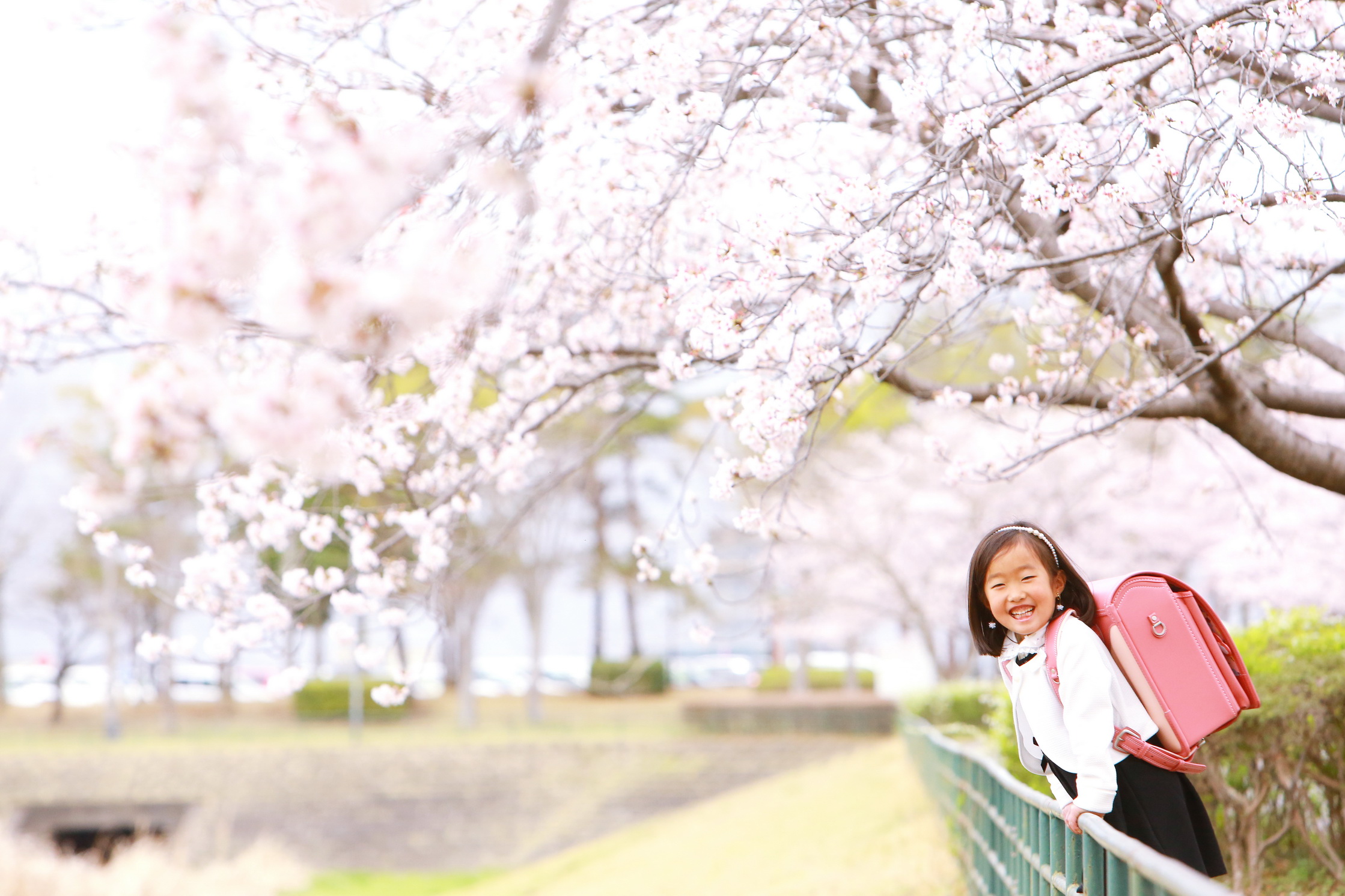 茨城県つくば市フォトスタジオ入学写真